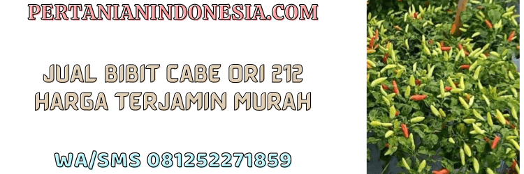 jual,murah,terjangkau,toko pertanian terdekat,pertanian indonesia